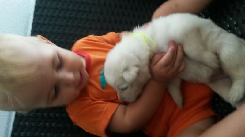 bébés tout beaux